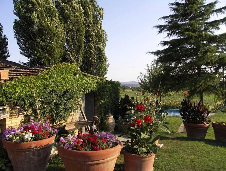 Villa Casalunga Buonconvento Eksteriør billede